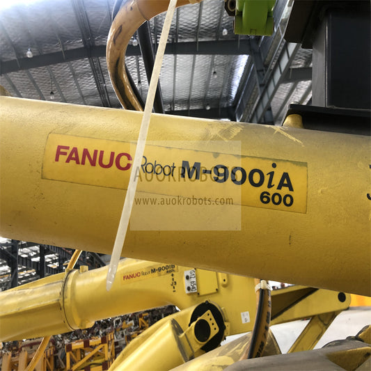 Fanuc M-900iA/600